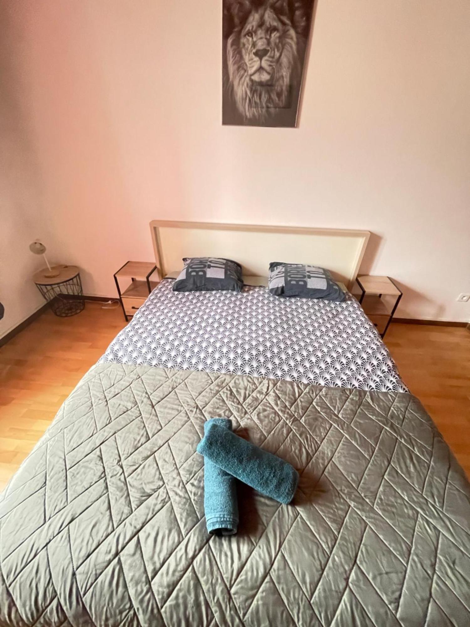 Harmony Appart France & Suisse Saint-Louis  Dış mekan fotoğraf
